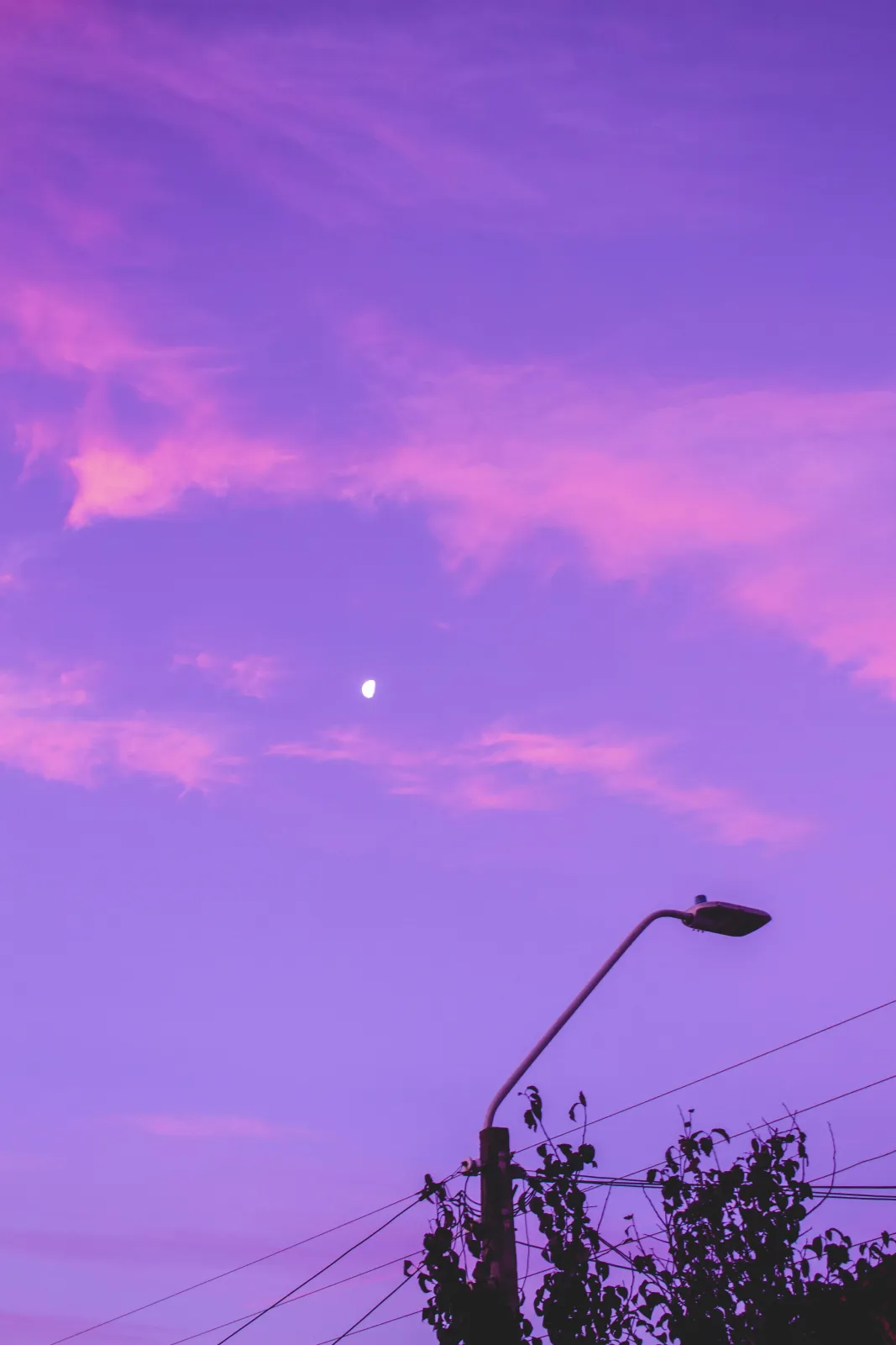Vol VII: Spring 2026 - LUV x Mixed Signals image 7